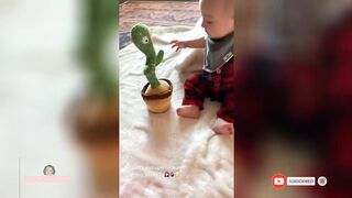 Hilarious Babies Reaction in Talking and dancing Cactus