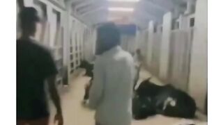Try Not To Laugh Funny Videos - Laugh With Your Friends' Fails