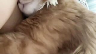 Animal kitchen cute video compilation#5