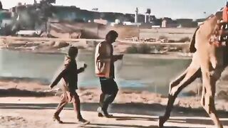 Entertainment video