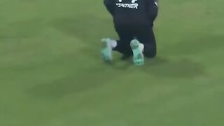 Haris Sohail Out! pak vs nz