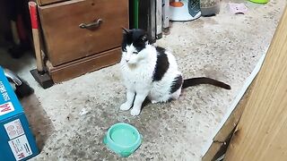Bean Comes Visiting