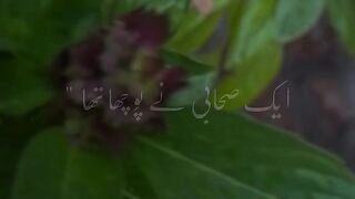 عزت اور ذلت اللہ دیتا ھے