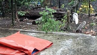 hujan deras Di desa