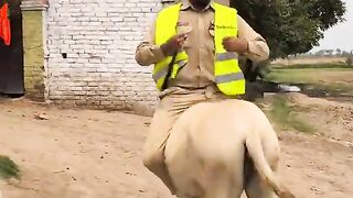 Funny video