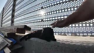 When I stroked a sleeping black cat on the breakwater, I felt a sense of healing.