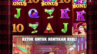 kuda poni lucu di airasiabet airasiabet