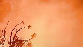Understanding Wildfires: Causes, Spread, and Increasing Frequency