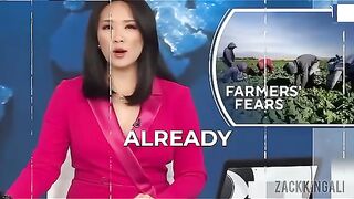 КАНАДСКАТА ПШЕНИЦА ИЗМЕСТВА АМЕРИКАНСКАТА ОТ ЗЪРНЕНИТЕ ПАЗАРИ