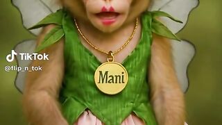 Gulabo Mani KO dhund rahi hy