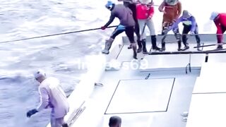 Tuna Fishing In The Sea