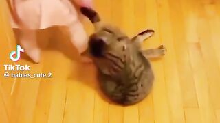 Baby funny video 16