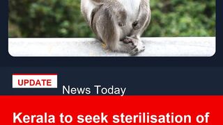 Kerala to seek sterilisation of Bonnet macaque near forests