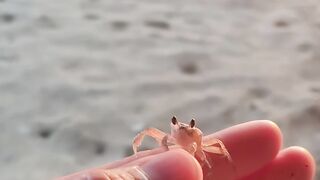 Amazing Animals Transformation!