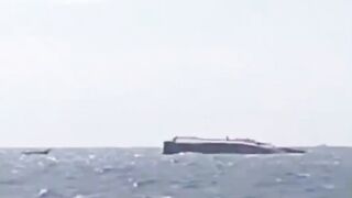 Video Detik-Detik Kapal Wisata Terbalik di Perairan Taman Nasional Komodo, 8 Turis Asing dan 4 ABK Selamat