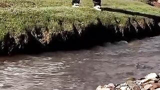 FunVideo 6