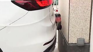 Fun   masti    FunVideo  funnyreels 2