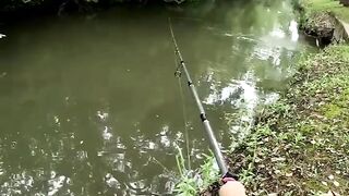 River Fishing Adventure Found the Perfect Spot!