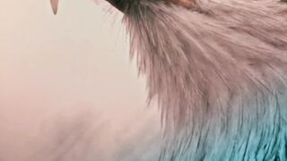 Iqbal poetry 6