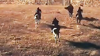 Ertugrul Gazi To Osman Gazi X Rise Of Ottoman Empire ertugrulgahzi osmanghazi ottoman