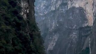 nature 42
