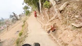 Bike Ridar pulsar 220 f