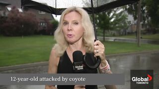12-Year-Old Ontario Boy Survives Coyote Attack with 4 Puncture Wounds