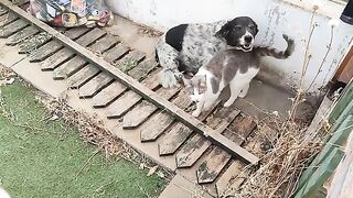 Doppy and her dog, Huckleberry
