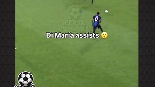 D maria