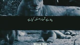 True lines 26