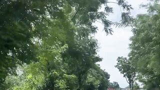 Matta Swat, Famous for Its Delicious Peaches mattaswat swatvalley swatpeach kpk Pakistan