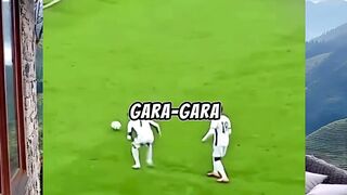 MOMEN ABSURD DI SEPAKBOLA!