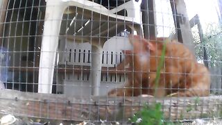 Rio and Kikos share guard duty
