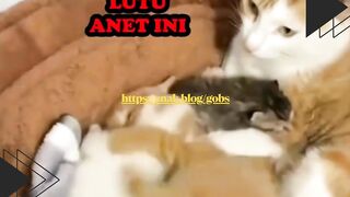Kakaknya lagi bobo, adiknya malah usil nggak ada akhlak!