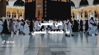 نشيد جميل 5