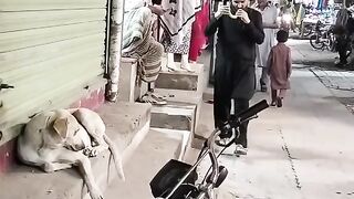 Funny video