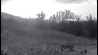 Video 601