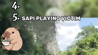 Top 5 Momen Lucu Sapi yang Bikin Ngakak