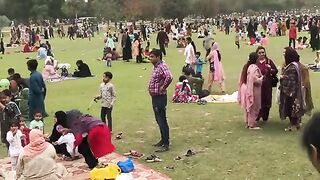Funny video