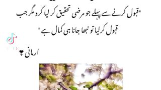 Wasif Ali