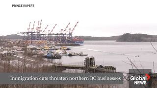 Northern BC Businesses Sound Alarm Over Immigration Cuts Threatening Local Economy