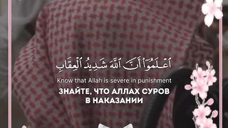 واعلموا أن الله شديد العقاب