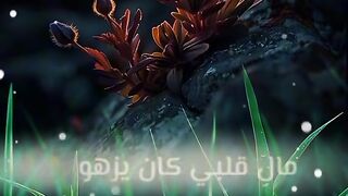 نشيد جميل 8