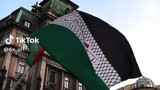 فلسطين حره 4