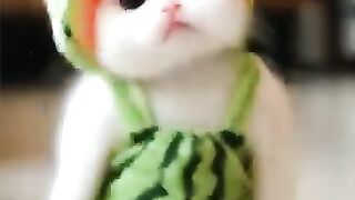 Cutie dance