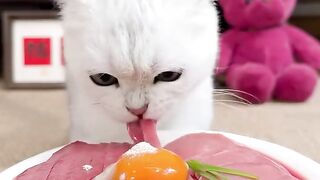 Eating food 6