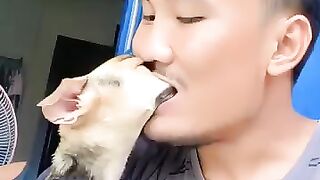 Animals Funny Video 4