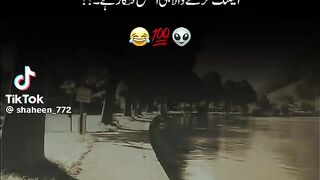 1tv. . .