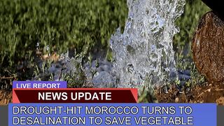 Droughthit Morocco Turns to Desalination to Save