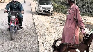 Funny video